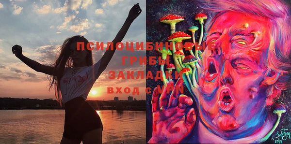 прущая мука Горняк