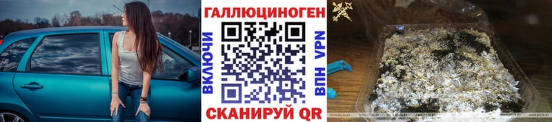 Псилоцибиновые грибы Psilocybe  дарнет шоп  Ноябрьск 
