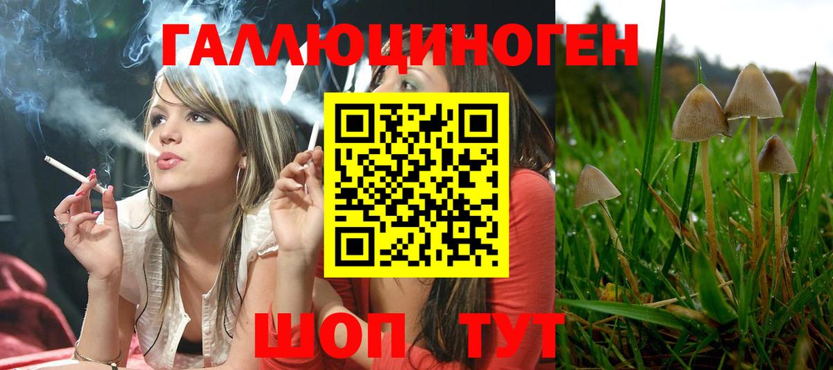 Псилоцибиновые грибы MAGIC MUSHROOMS Ноябрьск