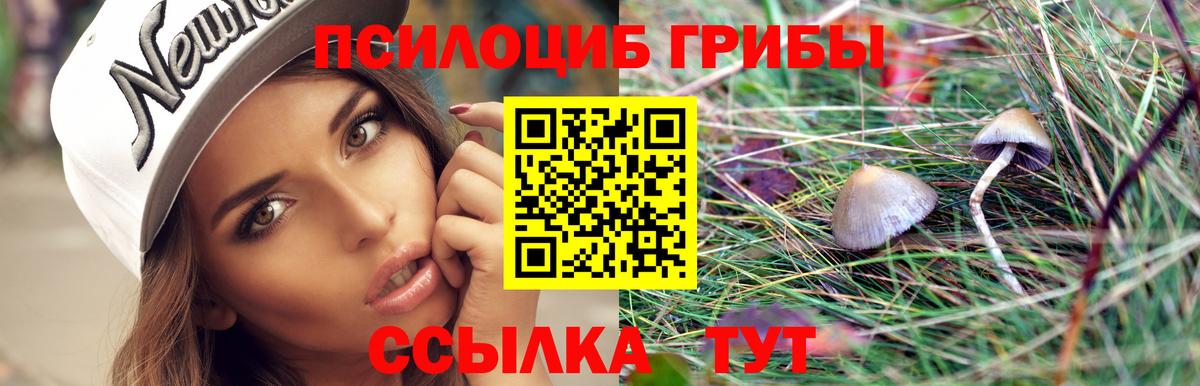Ноябрьск  Галлюциногенные грибы Psilocybe  Вход с VPN 